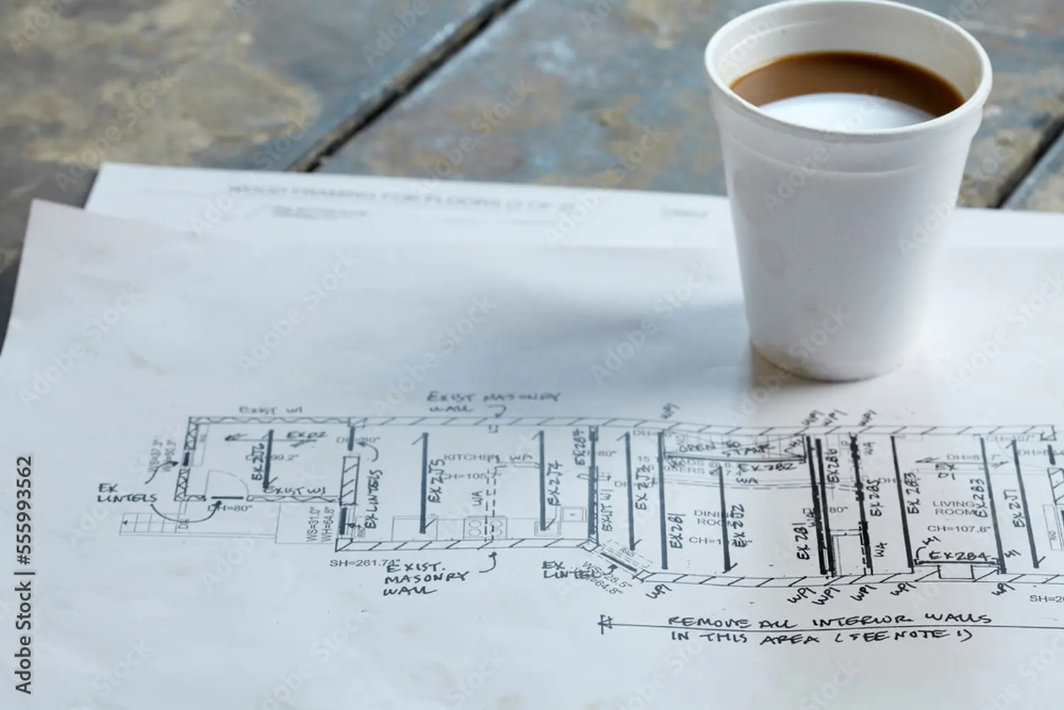MEITNERS LIVING - House - Floor Plan